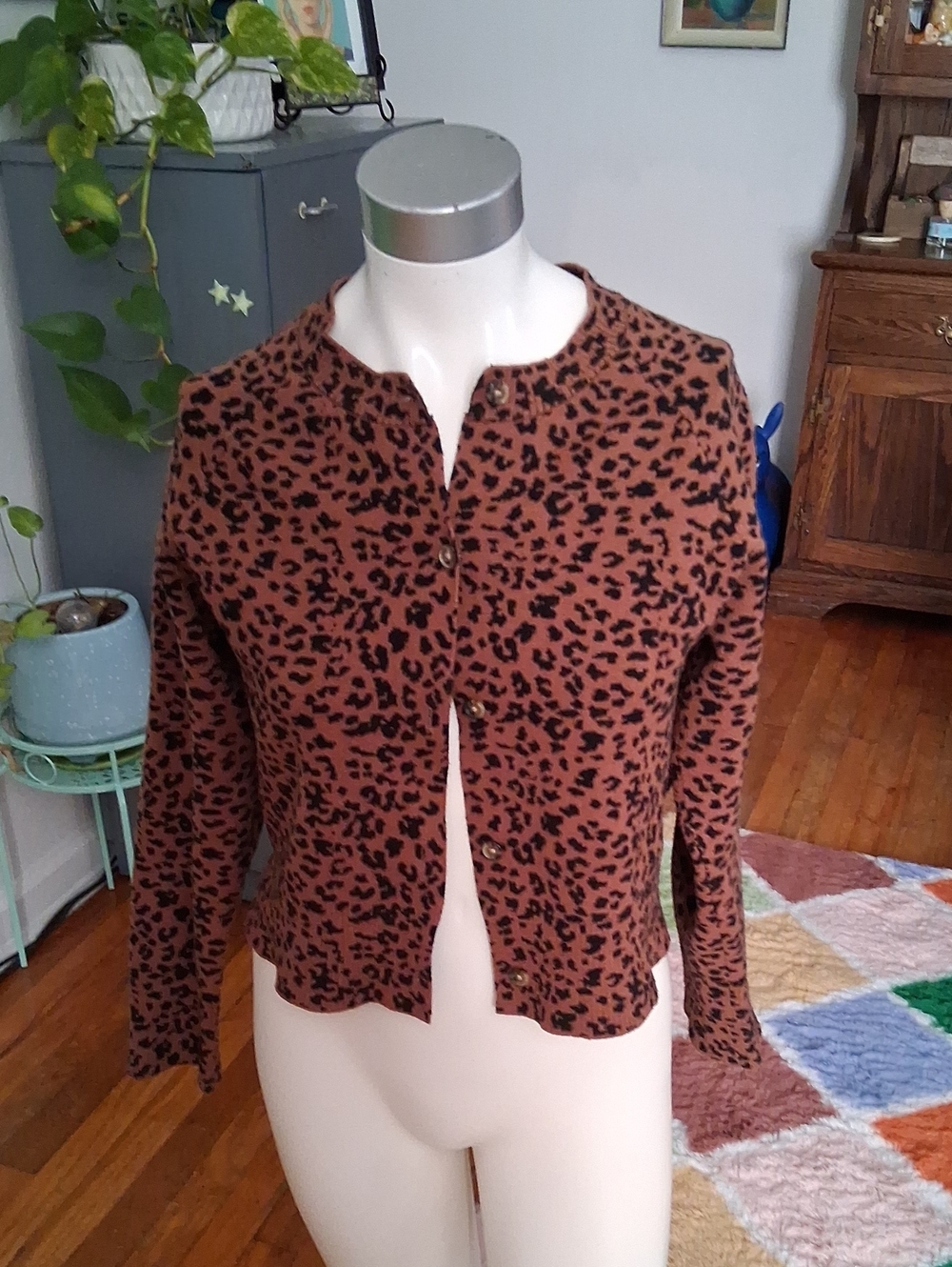 Leopard Print Button-Front Cardigan in Brown Size Large